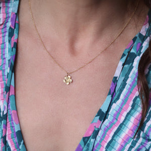 A Plumeria Necklace