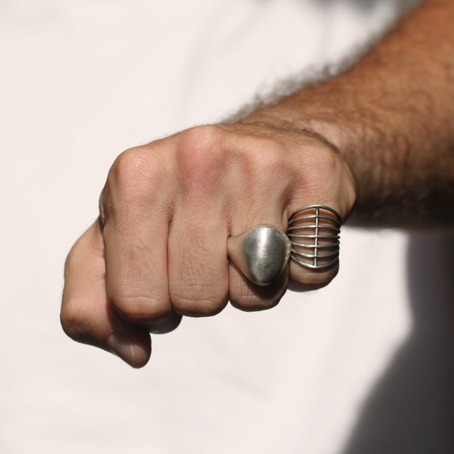 A Vertebrate Ring in Sterling Silver